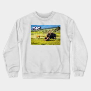 Bison at Yellowstone Crewneck Sweatshirt